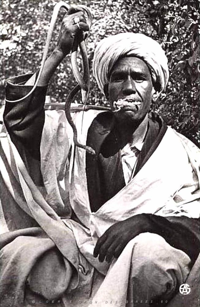Images d'Algerie 129.jpg